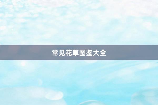 常见花草图鉴大全