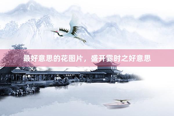 最好意思的花图片，盛开霎时之好意思