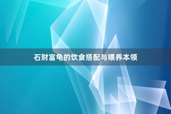 石财富龟的饮食搭配与喂养本领