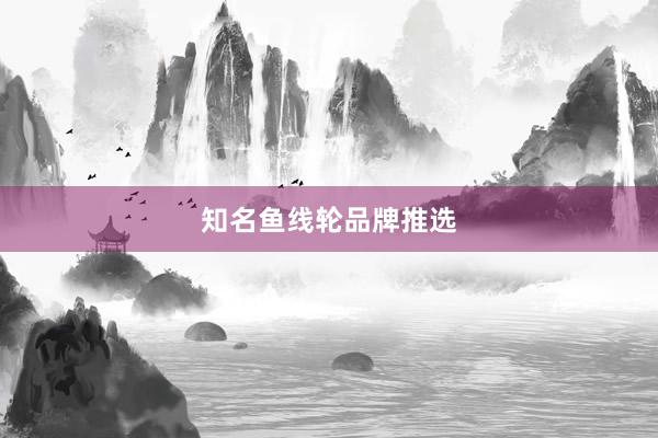 知名鱼线轮品牌推选